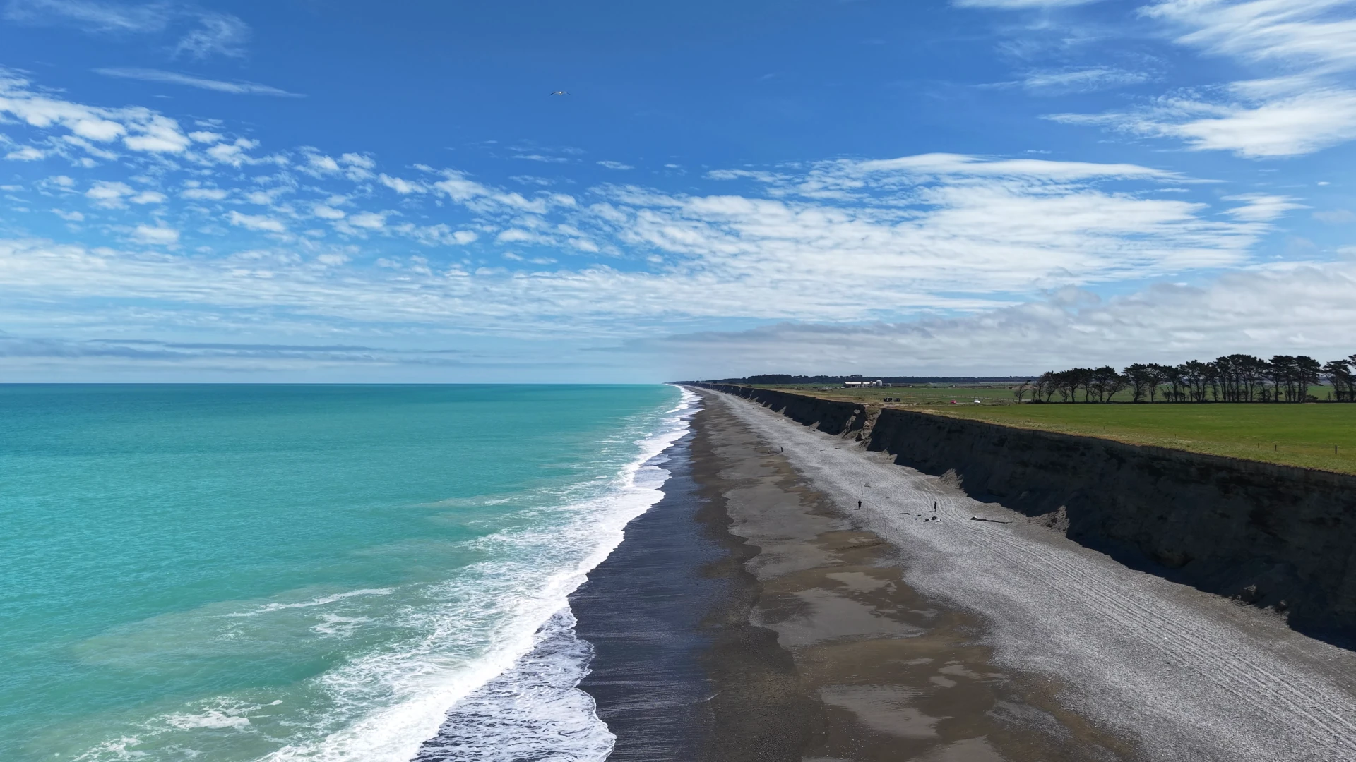 Rig Shark & Drone First Flight