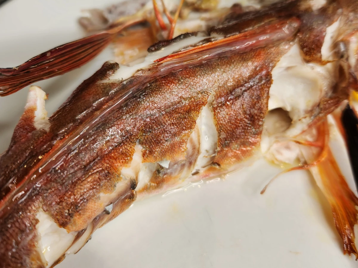 Whole cooked gurnard