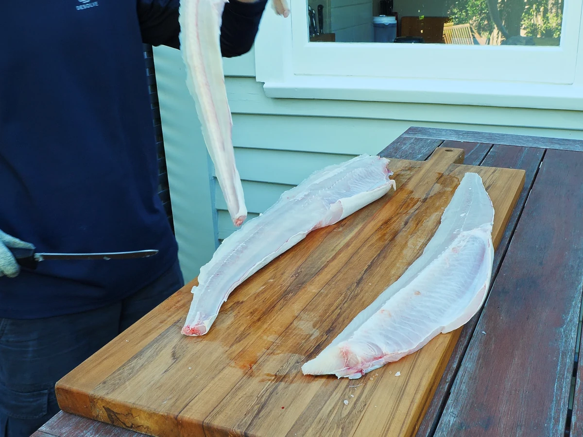 Filleting rig