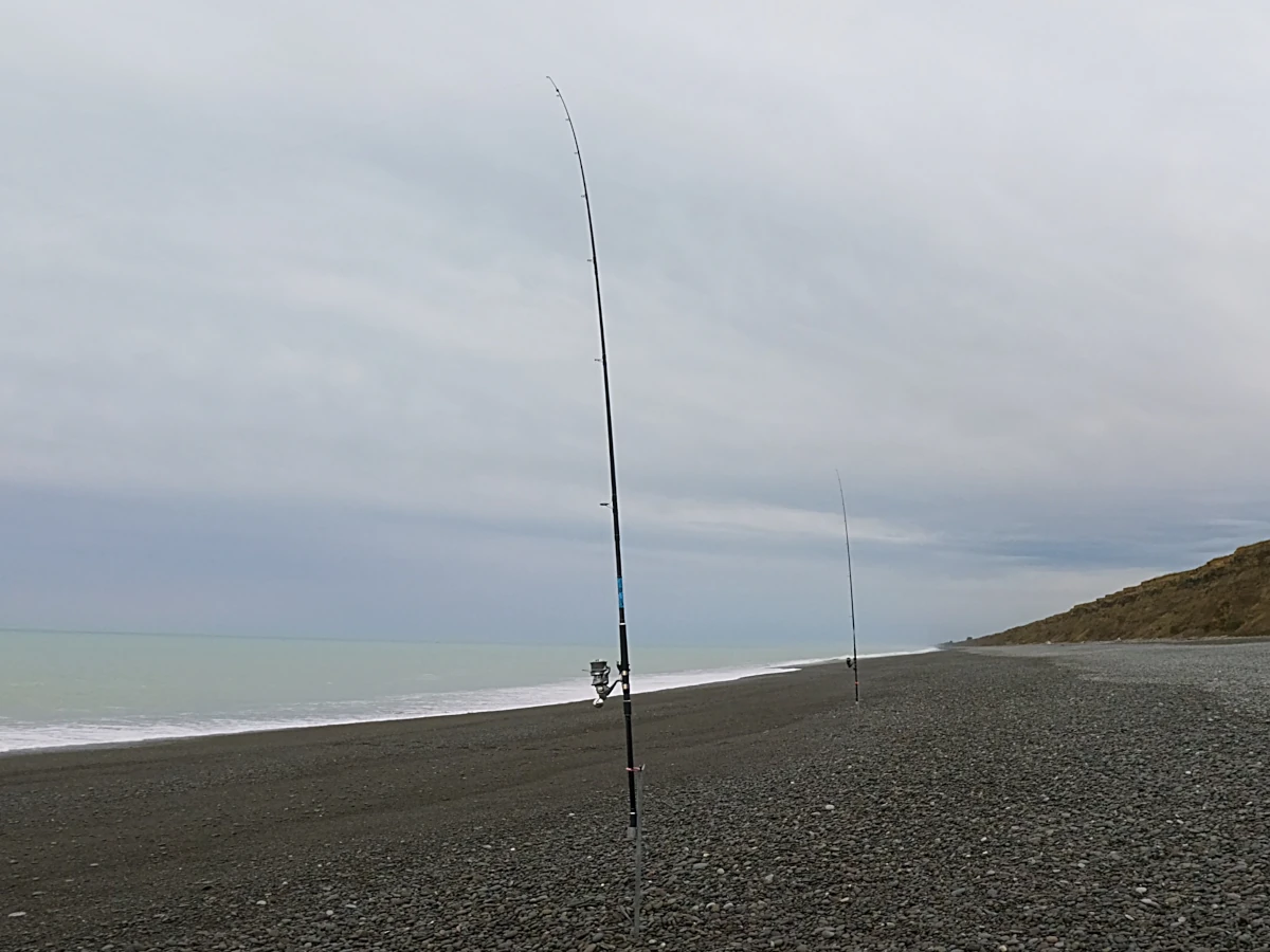 Rods out early morning
