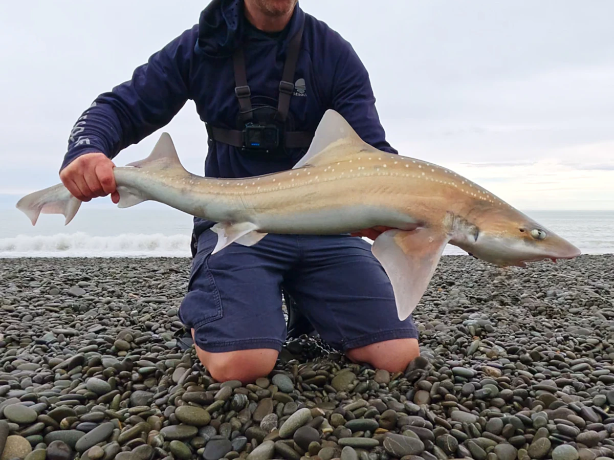 Third rig of the morning