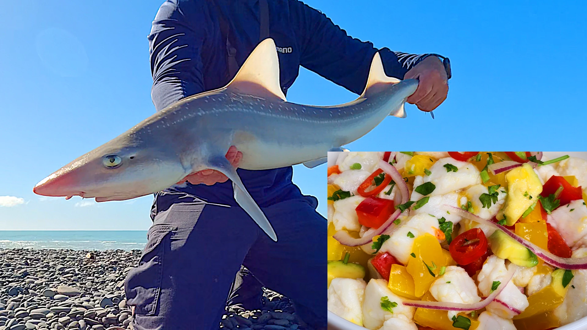Is Shark Safe to Eat? Rig & School Shark Catch and Cook | Mercury Risk Explained