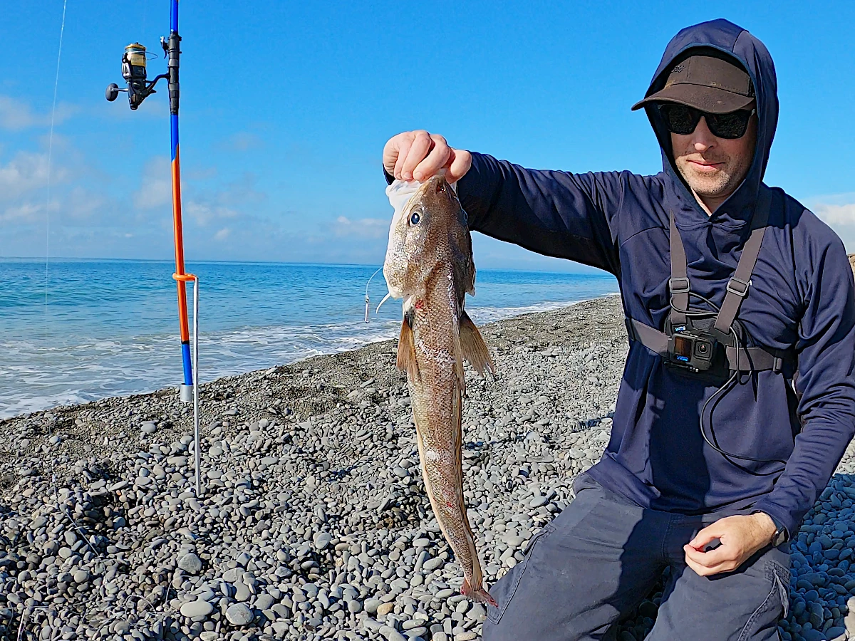 Red cod